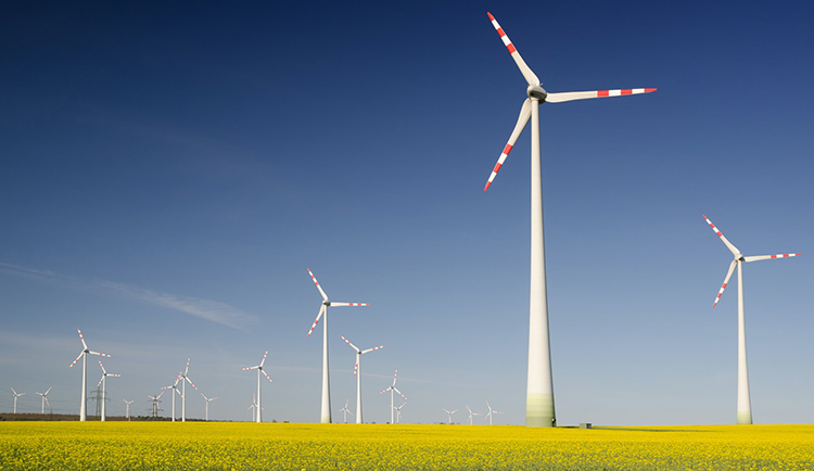 Windfarm pic courtesy of Climate Safe Network