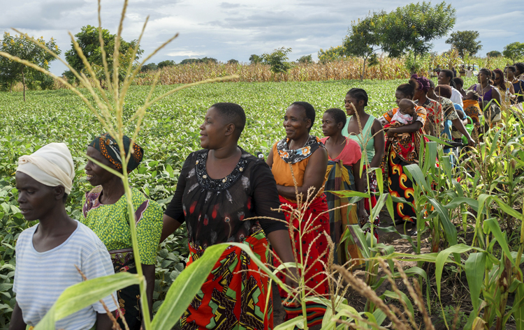 Shared Interest Partners from African Women in Agribusiness - a Malawian org launched by Graca Machel Trust