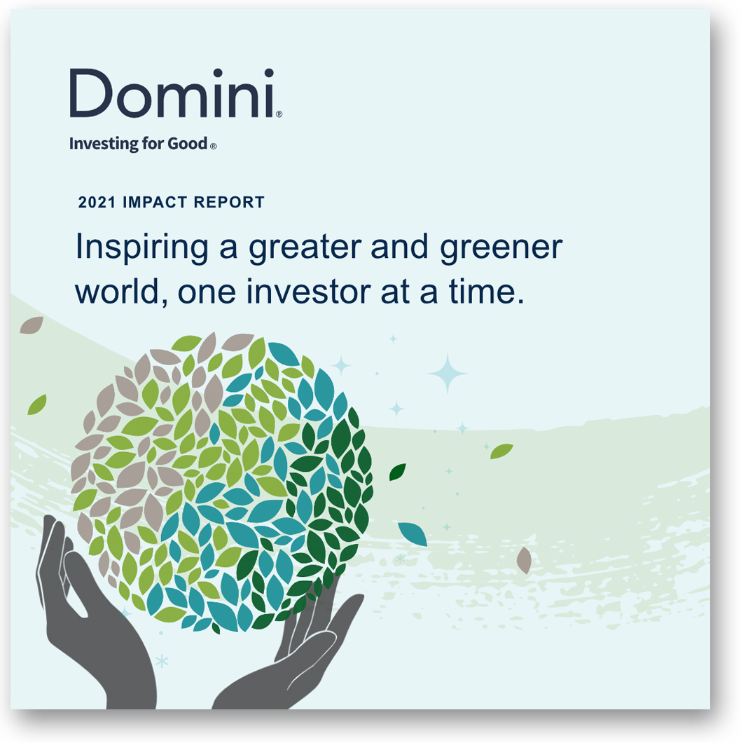 Domini Fund 2021 Impact Report cover