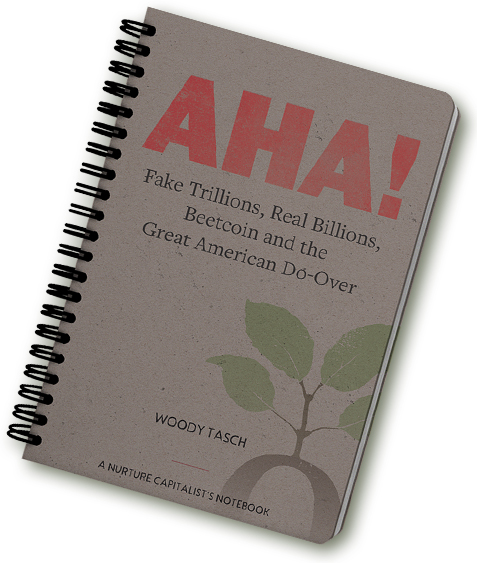 Aha Fake Trillions by Woody Tasch