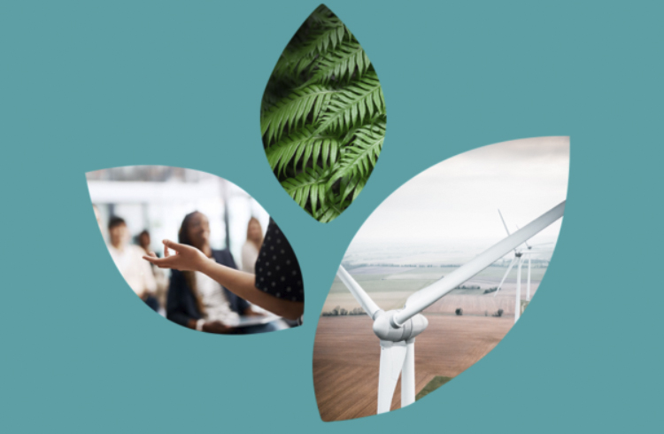 2021 Domini Funds Impact Report-2