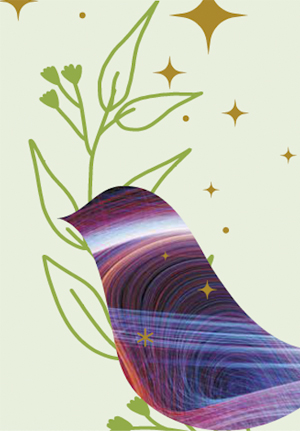 Domini Funds 2021 Impact Report-3