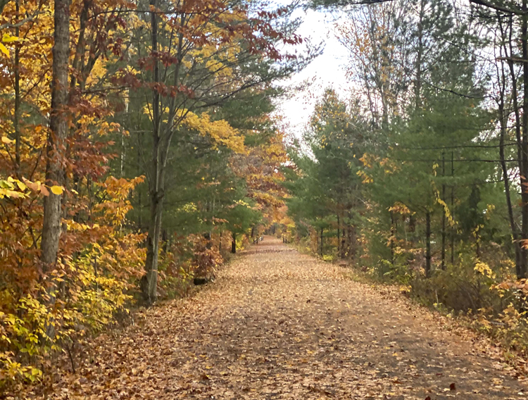 Sustainable Land Trusts-2