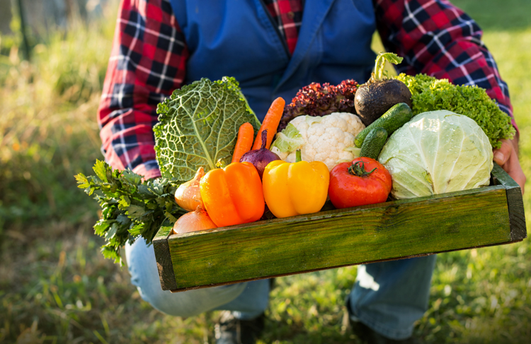 Edible Communities - Future Flourishing