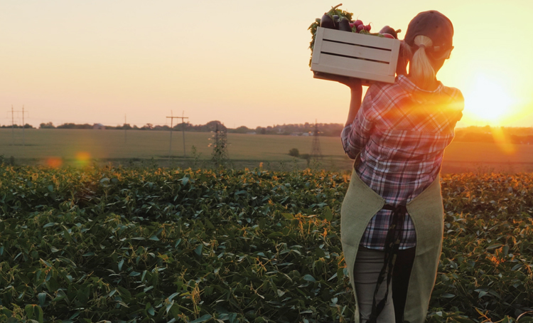 Edible Communities – From the Ground Up