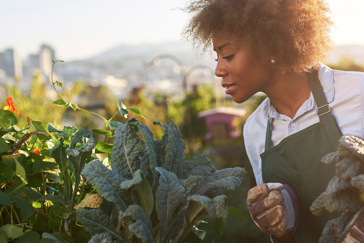 Public Equity Investing in Sustainable Food and Agriculture