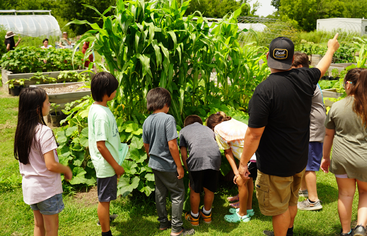 Butterfly gardens at Euchee Butterfly Farm