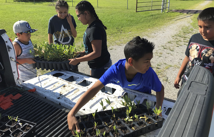 Hands-on Tribal youth education on native butterfly regenerative arming